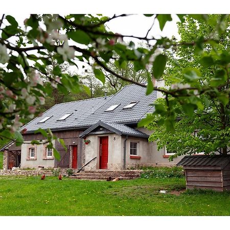 Kozy I Roze Villa Oldrzychowice Klodzkie Buitenkant foto