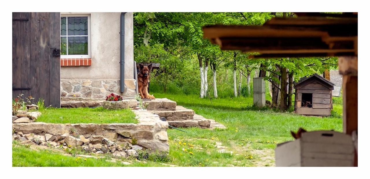 Kozy I Roze Villa Oldrzychowice Klodzkie Buitenkant foto