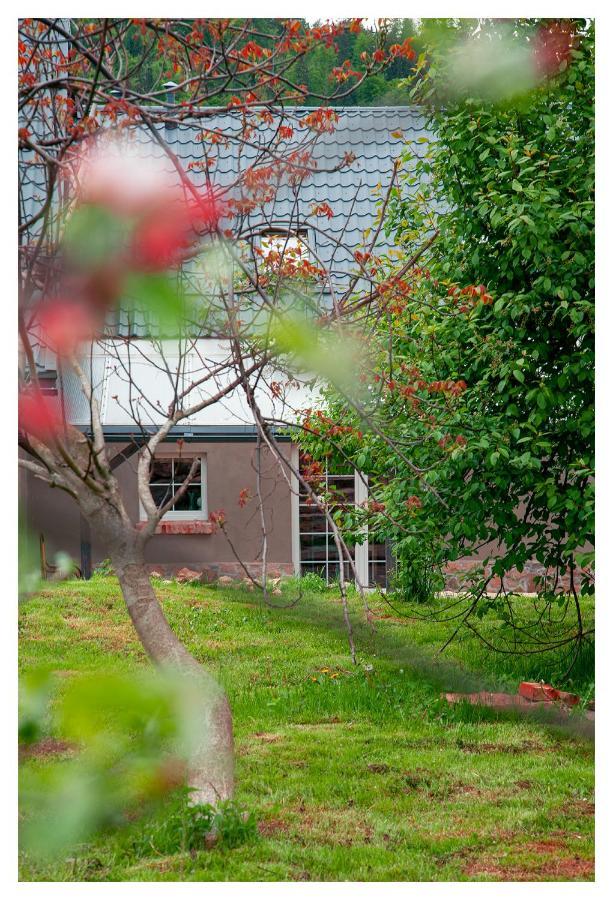 Kozy I Roze Villa Oldrzychowice Klodzkie Buitenkant foto
