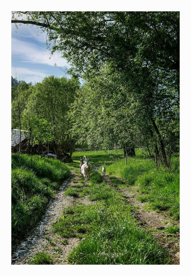 Kozy I Roze Villa Oldrzychowice Klodzkie Buitenkant foto