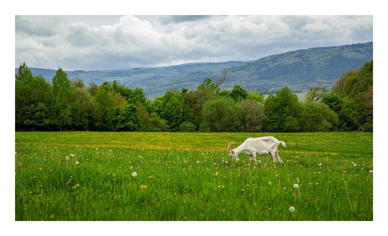 Kozy I Roze Villa Oldrzychowice Klodzkie Buitenkant foto