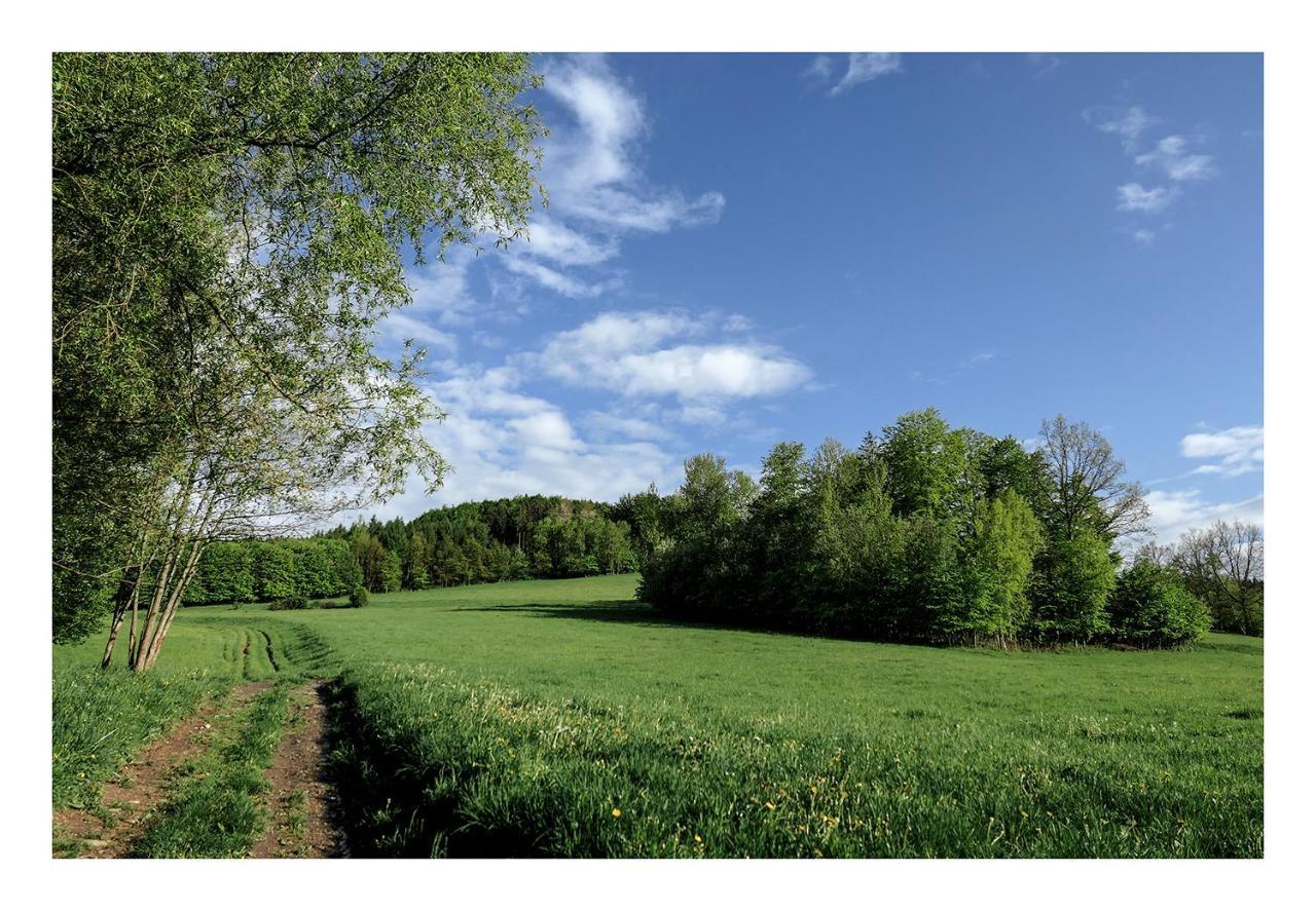 Kozy I Roze Villa Oldrzychowice Klodzkie Buitenkant foto