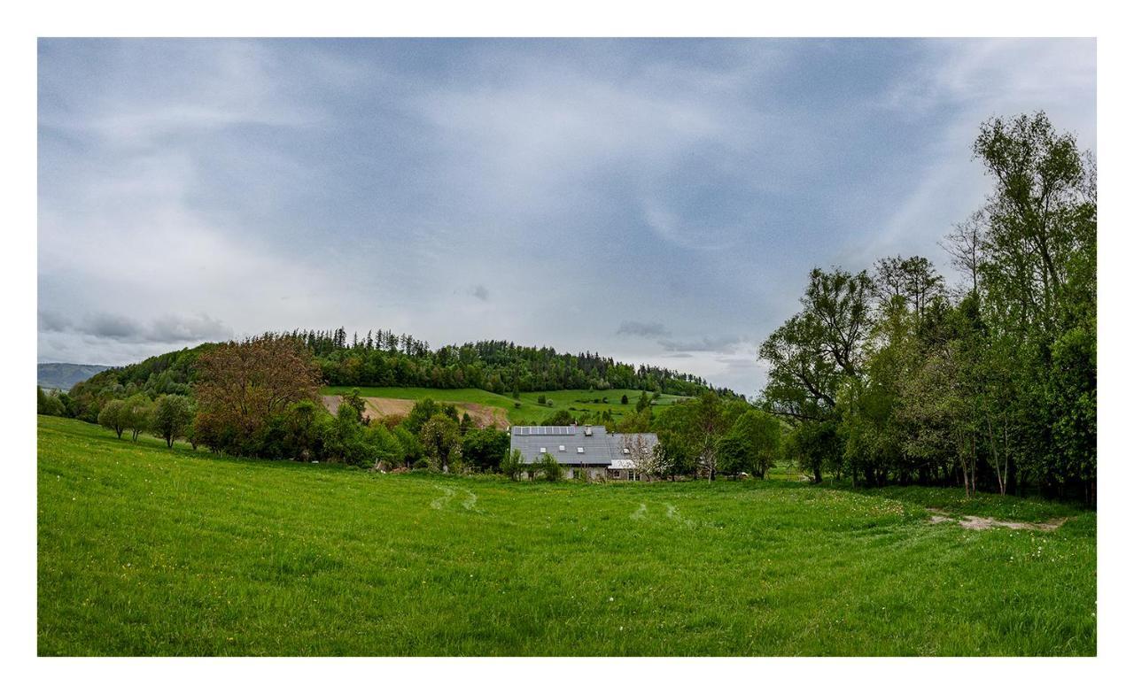 Kozy I Roze Villa Oldrzychowice Klodzkie Buitenkant foto