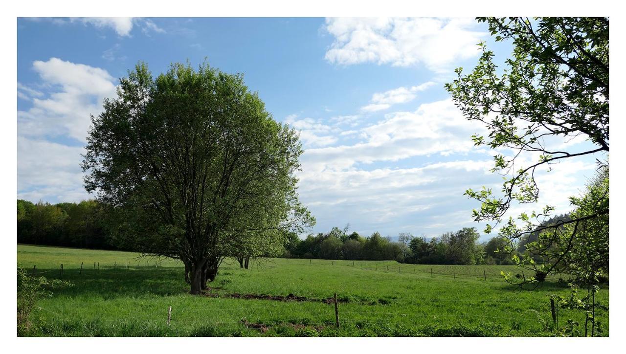 Kozy I Roze Villa Oldrzychowice Klodzkie Buitenkant foto