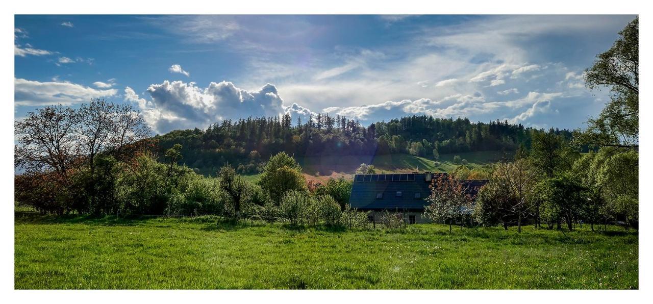 Kozy I Roze Villa Oldrzychowice Klodzkie Buitenkant foto