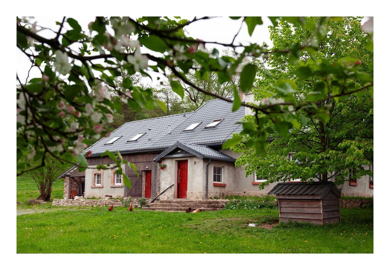 Kozy I Roze Villa Oldrzychowice Klodzkie Buitenkant foto